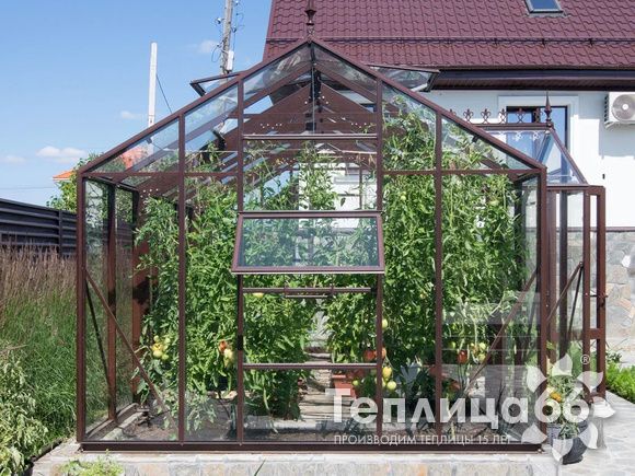 Теплица botanik T с мини-тамбуром под стекло (14 м²)